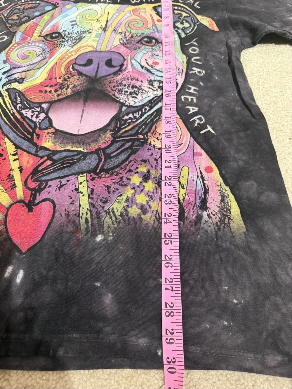 The Mountain T-Shirt Mens Large Black Tie Dye Pit Bull Dean Russo Graphic Tee - Picture 4 of 6